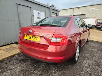 Used Skoda Octavia 2016 for sale - 77213754: Photo