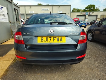 Used Skoda Octavia 2017 for sale - 76784777: Photo