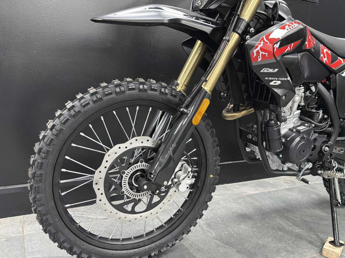 Used QJ MOTOR COV 125 X for sale - 78177445: Photo 10