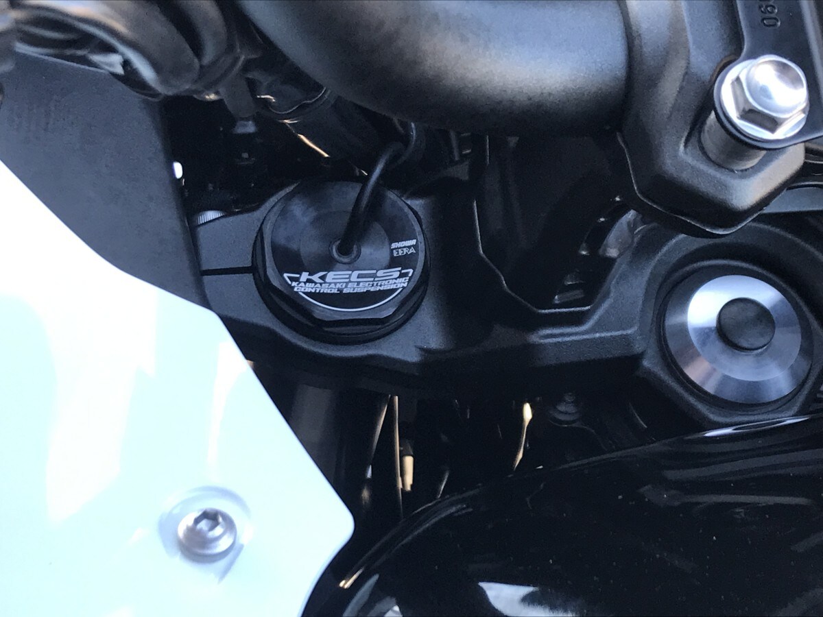 Kawasaki Versys 1100-SE KLZ1100 CSFNN