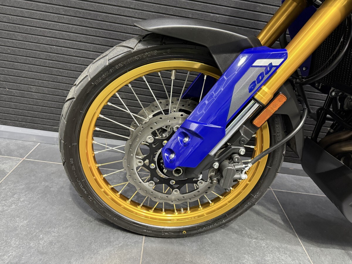 Suzuki DL 800 DE RCM3