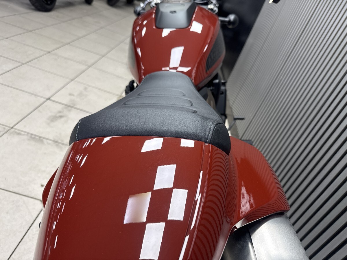 Harley-Davidson SPORTSTER S 1250 24