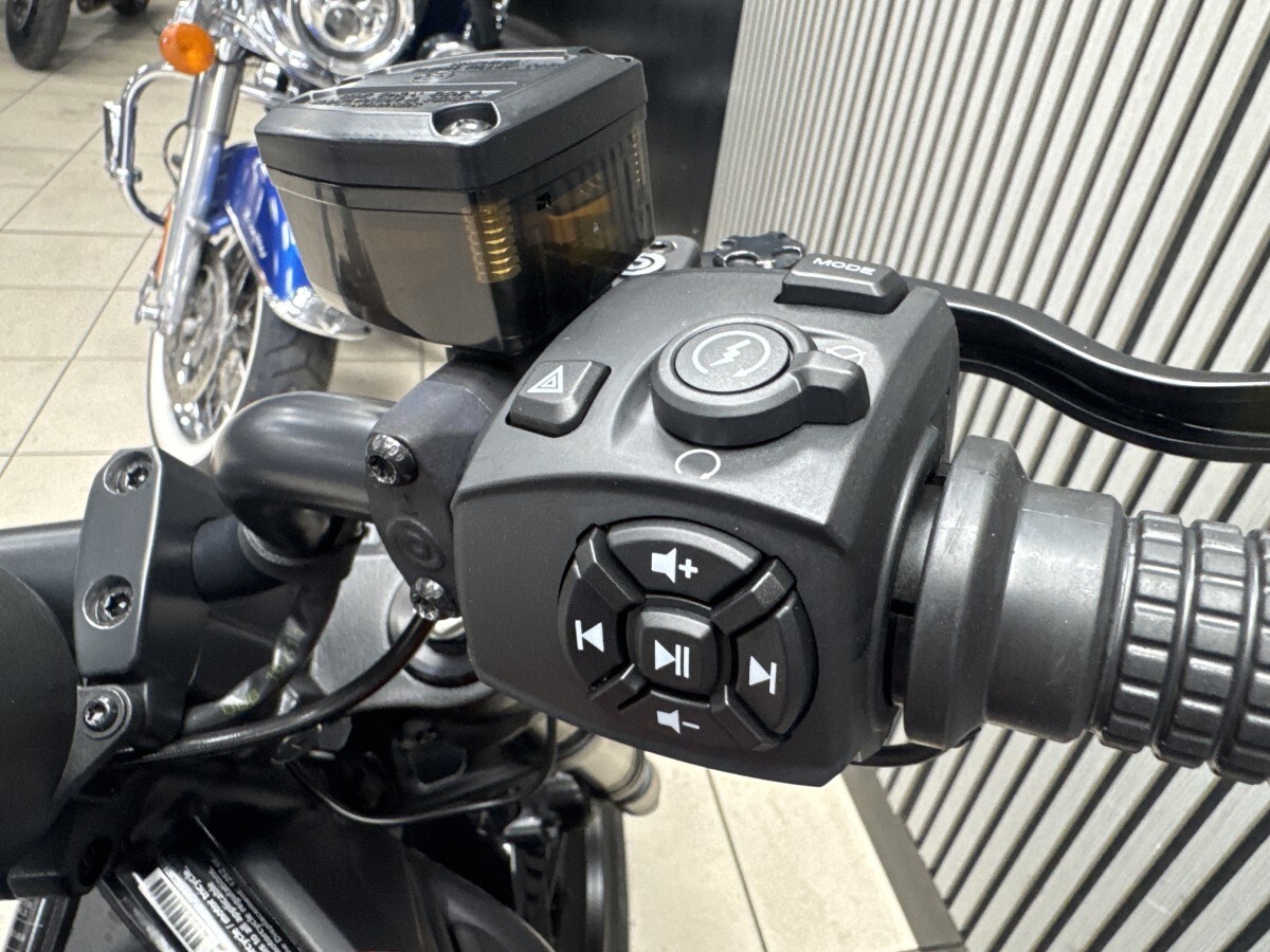 Harley-Davidson SPORTSTER S 1250 24