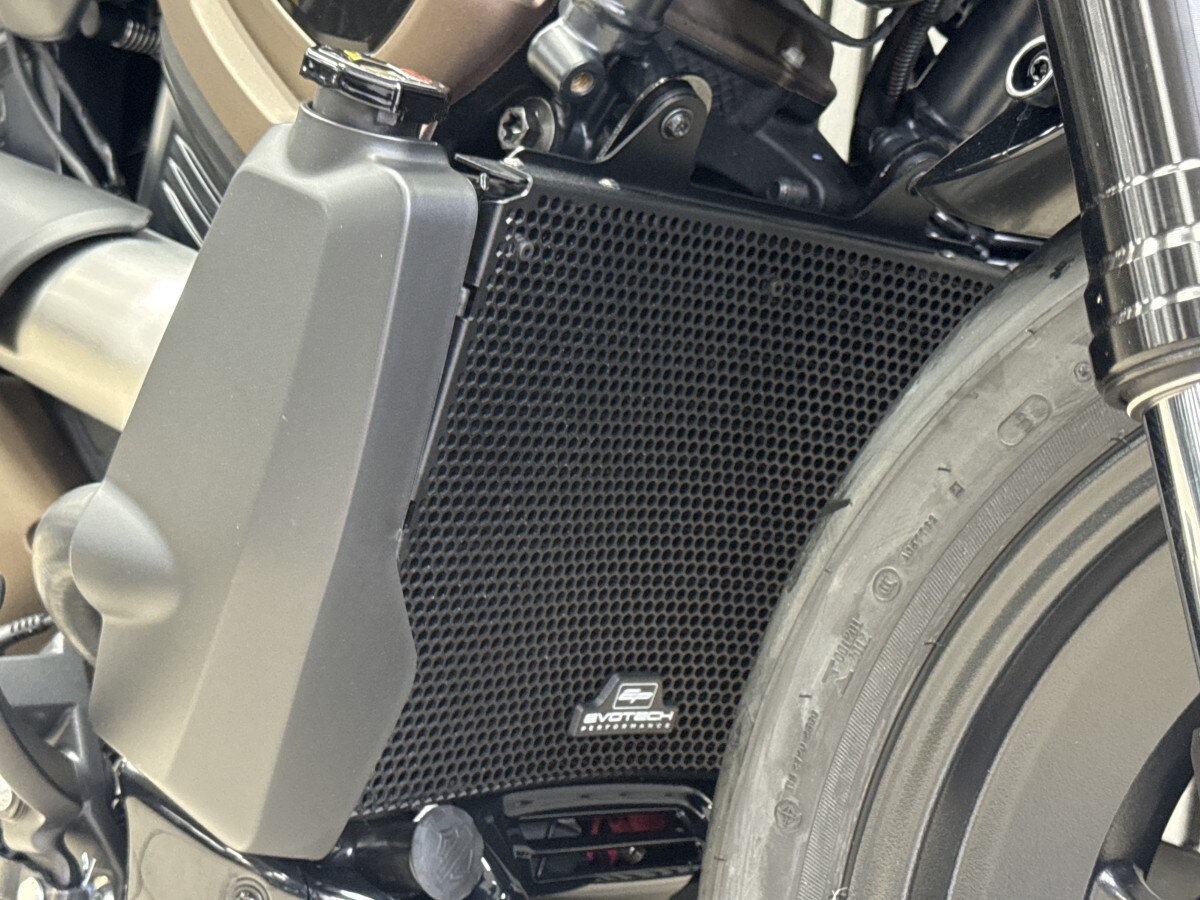 Harley-Davidson SPORTSTER S 1250 24