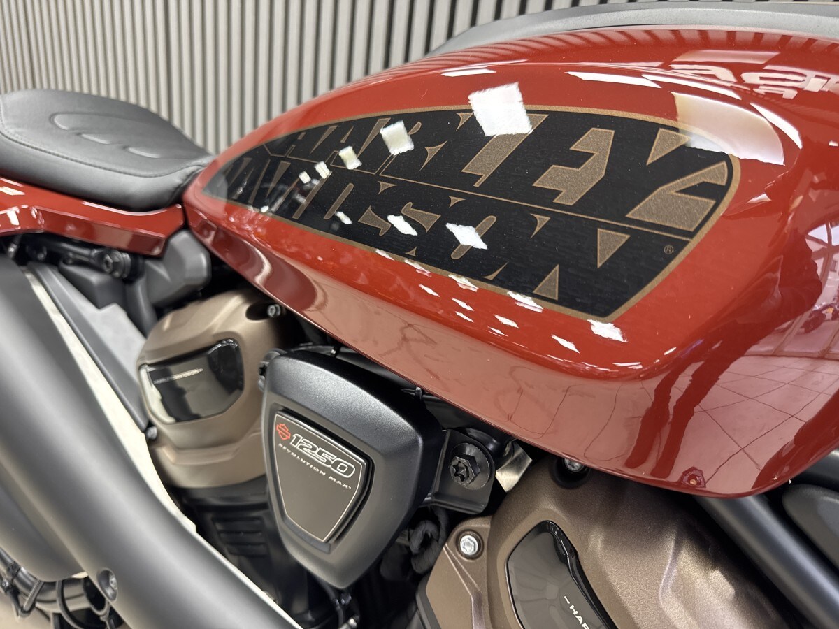 Harley-Davidson SPORTSTER S 1250 24