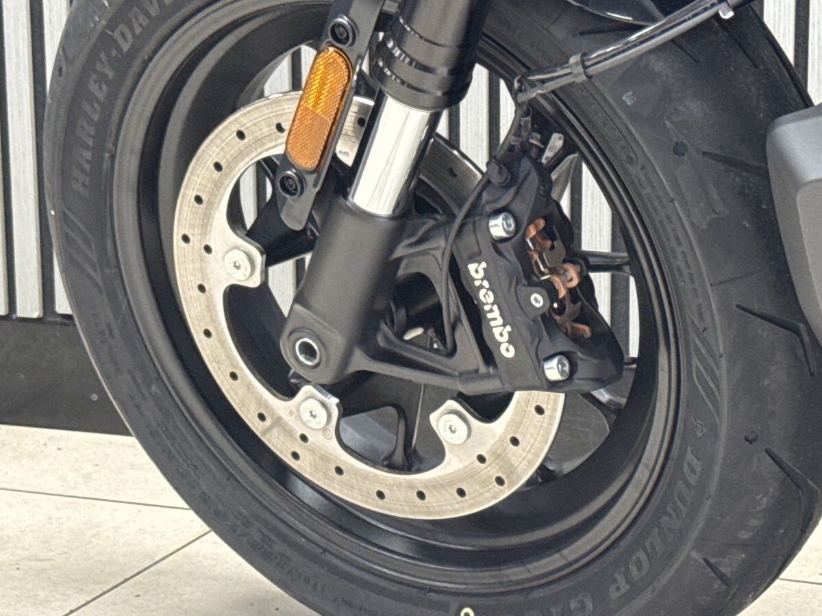 Harley-Davidson SPORTSTER S 1250 24