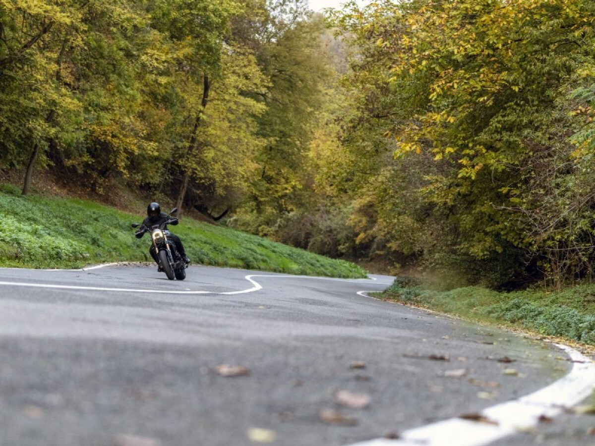 Benelli LEONCINO 800