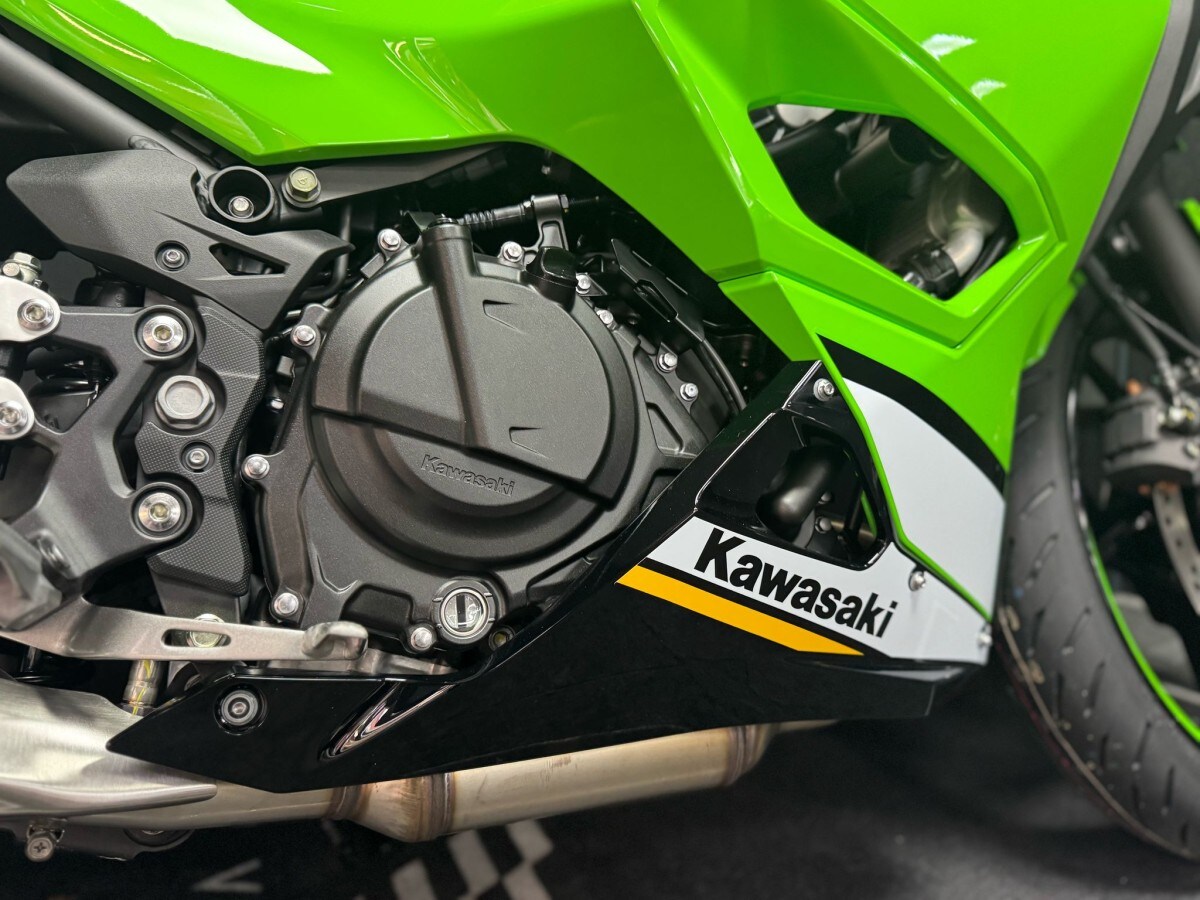 Kawasaki Ninja 500 SE EX500JSFAN