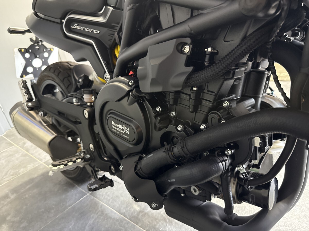 Benelli LEONCINO 800