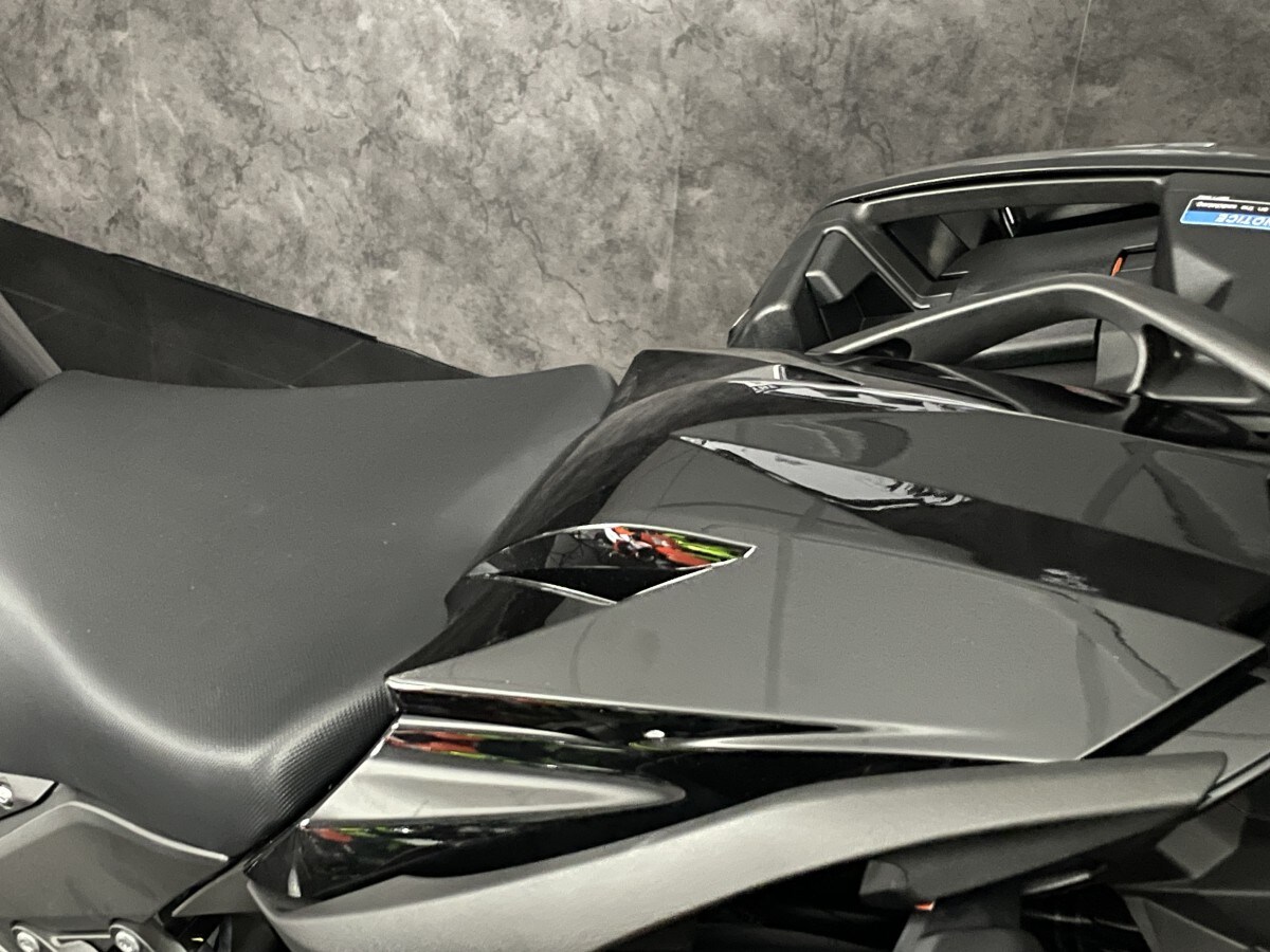 Kawasaki Ninja 1100SX Performance Tourer