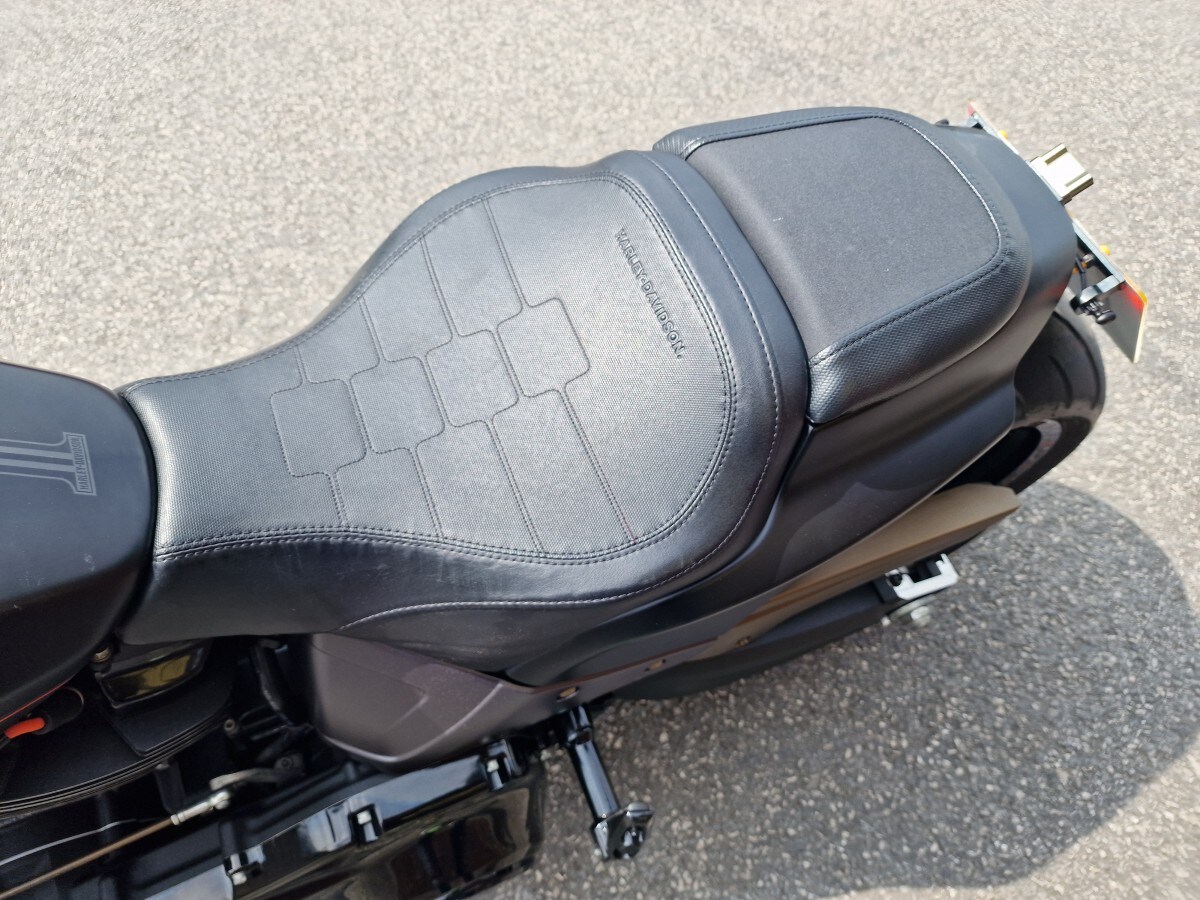 Harley-Davidson FXDR SOFTAIL 114 1868 19