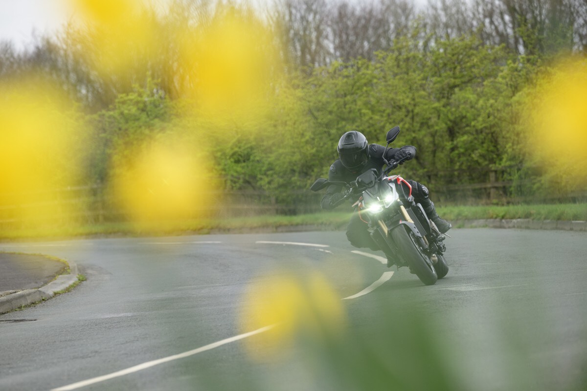 Used QJMotor SRK 800 for sale - 78229664: Photo 15