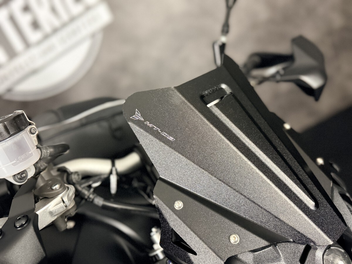 Yamaha MT-09 (MTN890)