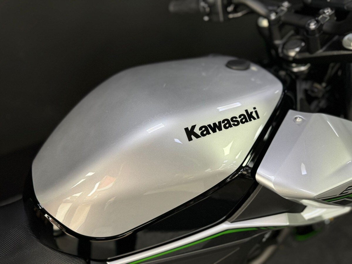 Kawasaki Z E-1 Sport NR011ARFNN