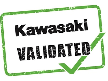 Used Kawasaki Ninja 1000 SX ZX1002 KRFAN 2024 for sale - bike-77867214: Photo