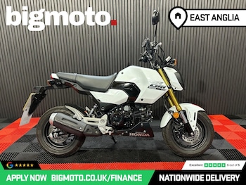 Used Honda MSX125 undefined for sale - bike-78435591: Photo