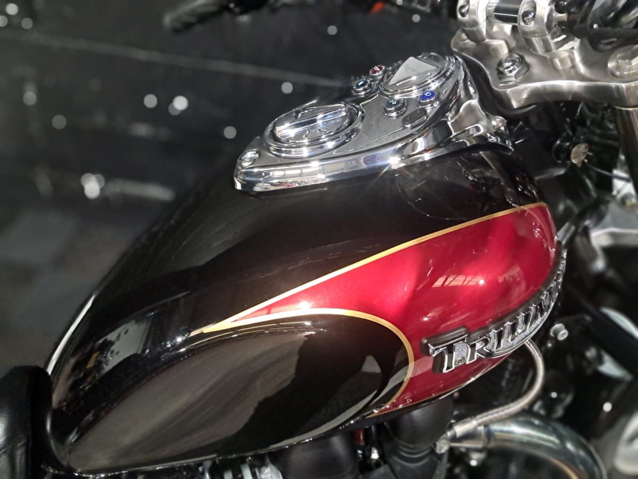 Used Triumph America for sale - 78640088: Photo 20
