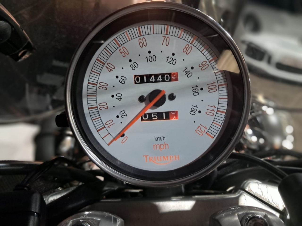 Used Triumph America for sale - 78640088: Photo 26