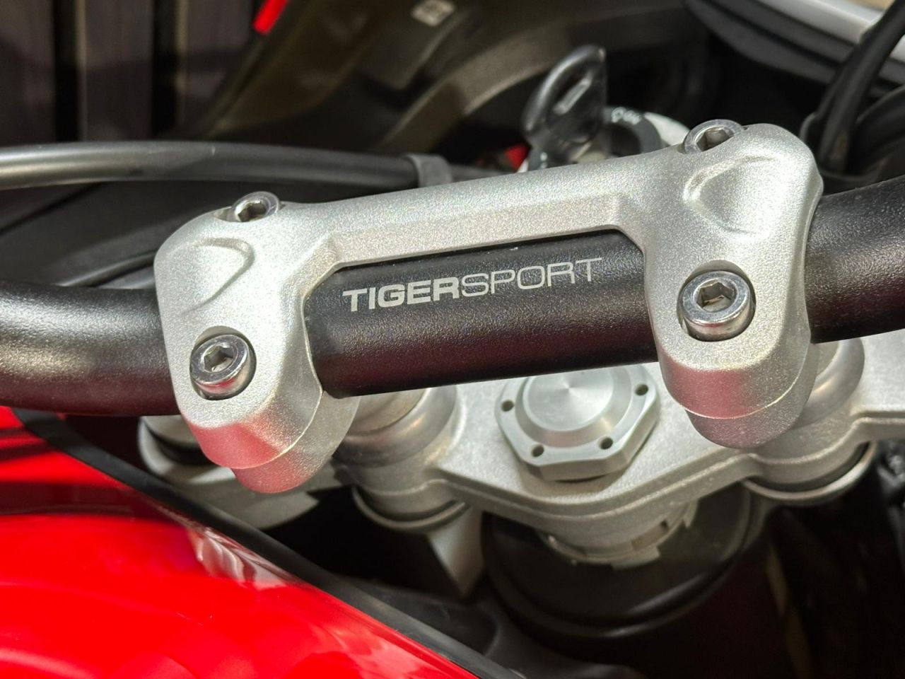 Used Triumph Tiger 1050 for sale - 78552429: Photo 23