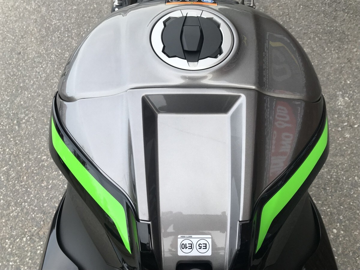 Kawasaki ZX-10R ZX1002LRFAN