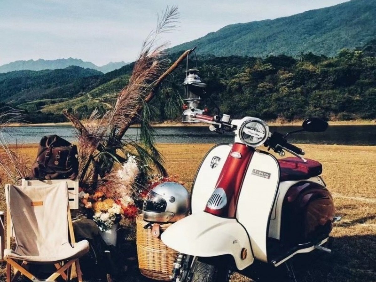 Royal Alloy TG 125 S LC