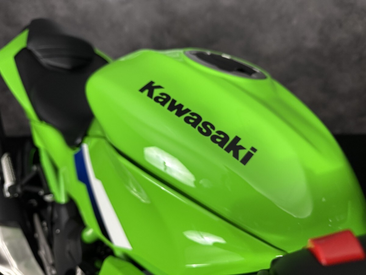 Kawasaki Ninja 125