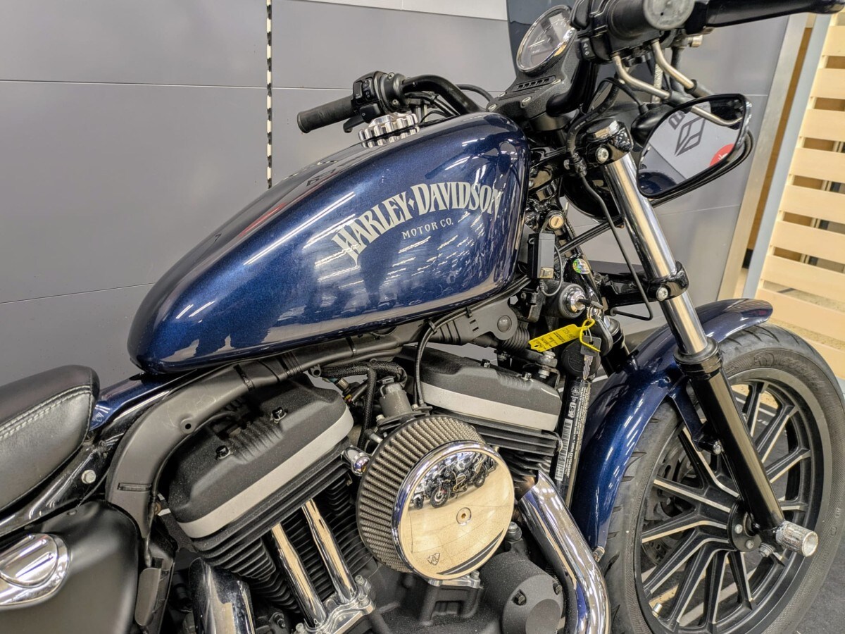 Harley-Davidson IRON 883 XL