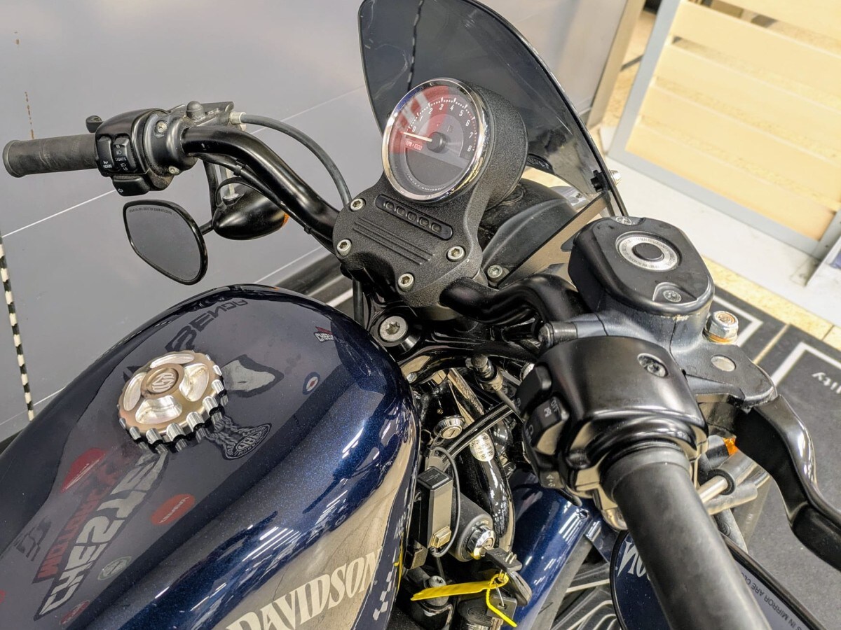 Harley-Davidson IRON 883 XL