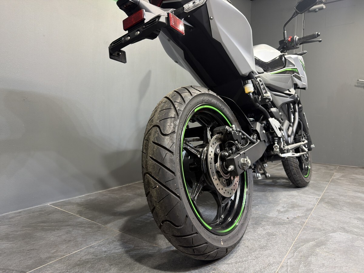 Kawasaki Z E-1 Sport NR011ARFNN