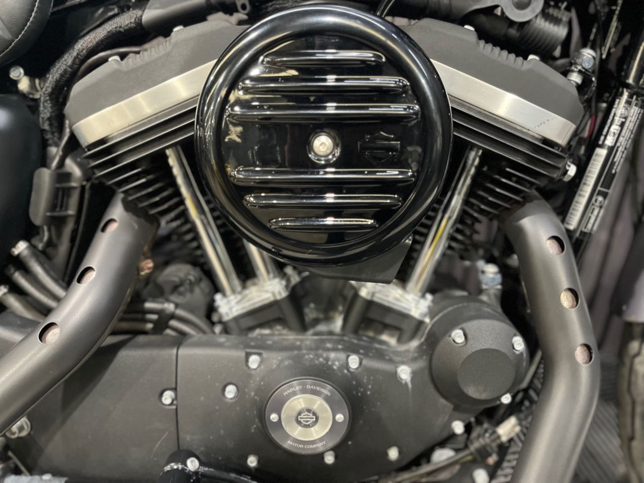 Used Harley-Davidson Sportster for sale - 78838734: Photo 14