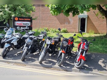 Used Benelli TRK 502 X undefined for sale - bike-77870535: Photo