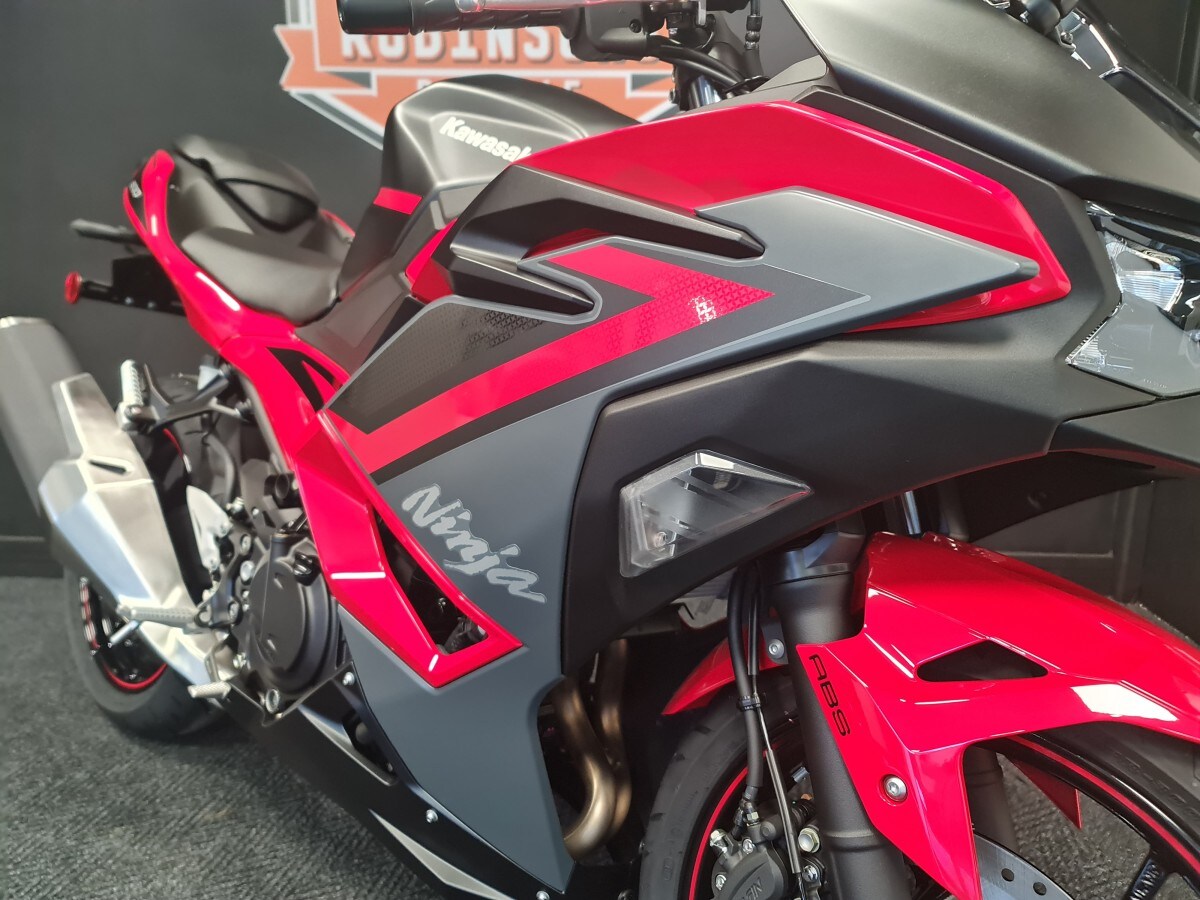 Kawasaki Ninja 500 SE