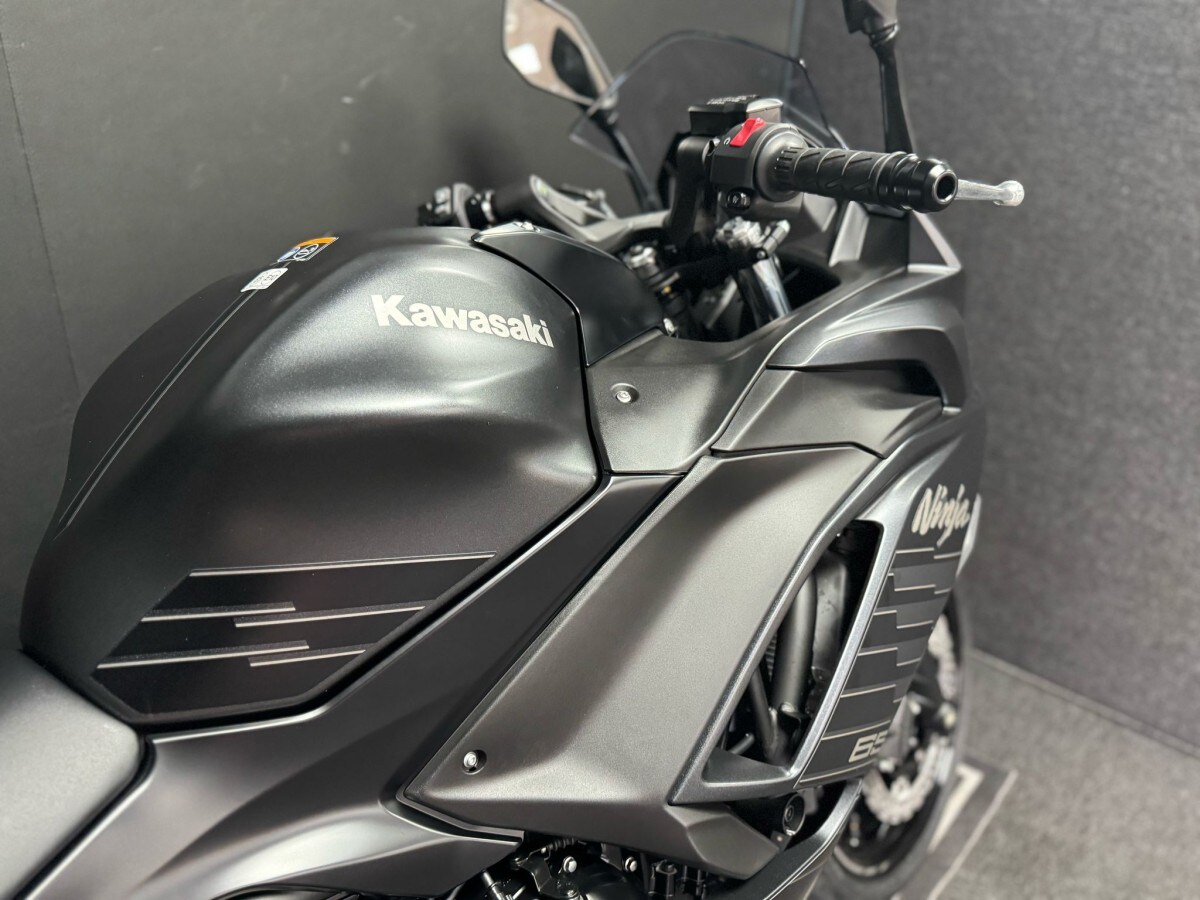 Kawasaki Ninja 650 EX650SSFAN