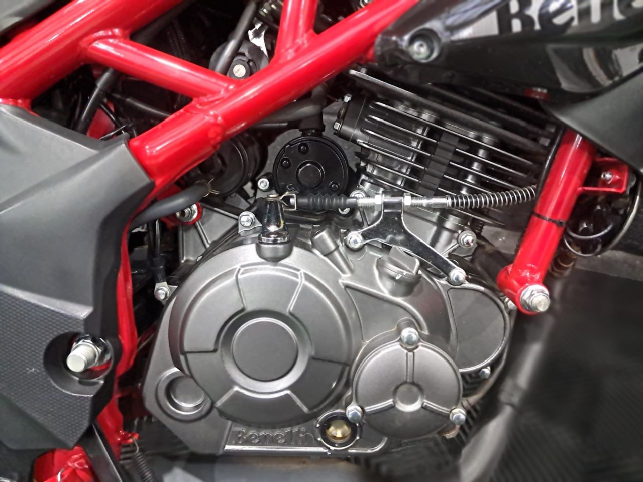 Used Benelli BN for sale - 78552442: Photo 14