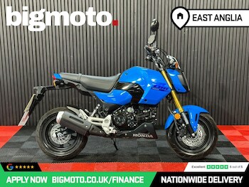 Used Honda MSX125 undefined for sale - bike-79174852: Photo