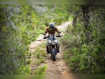 Used Voge DS625X undefined for sale - bike-77870687: Photo