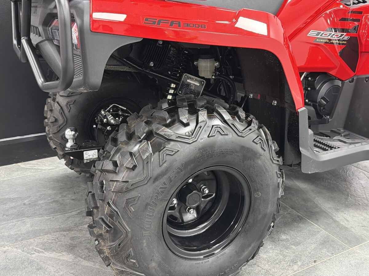 Used QJ MOTOR SFA 300 for sale - 77869270: Photo 8