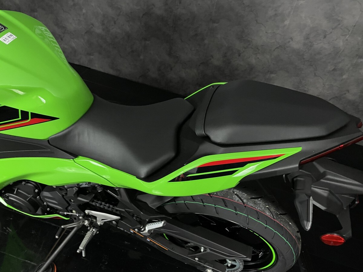 Kawasaki Ninja 500 SE