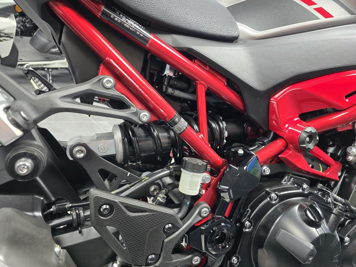 Kawasaki Z900 ZR900SSFAN