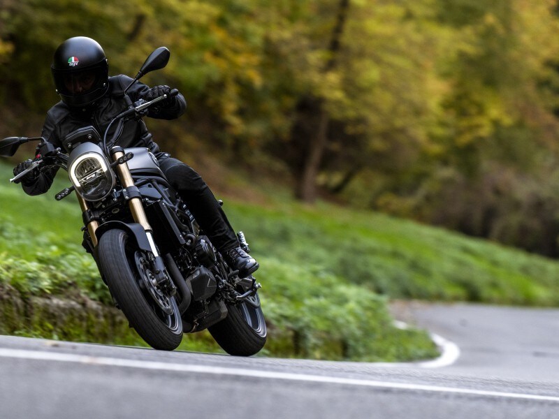 Benelli Leoncino 800