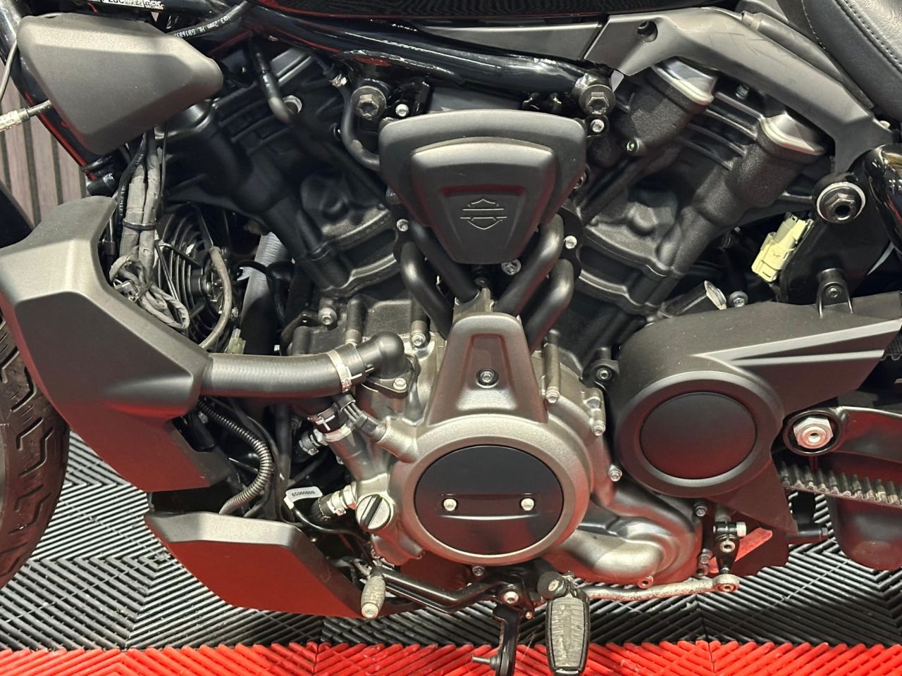 Used Harley-Davidson Sportster for sale - 78435678: Photo 20