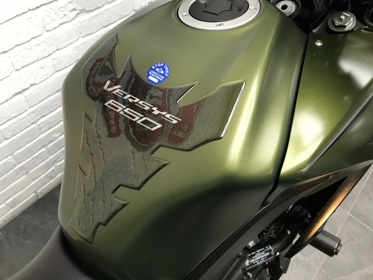 Kawasaki VERSYS 650