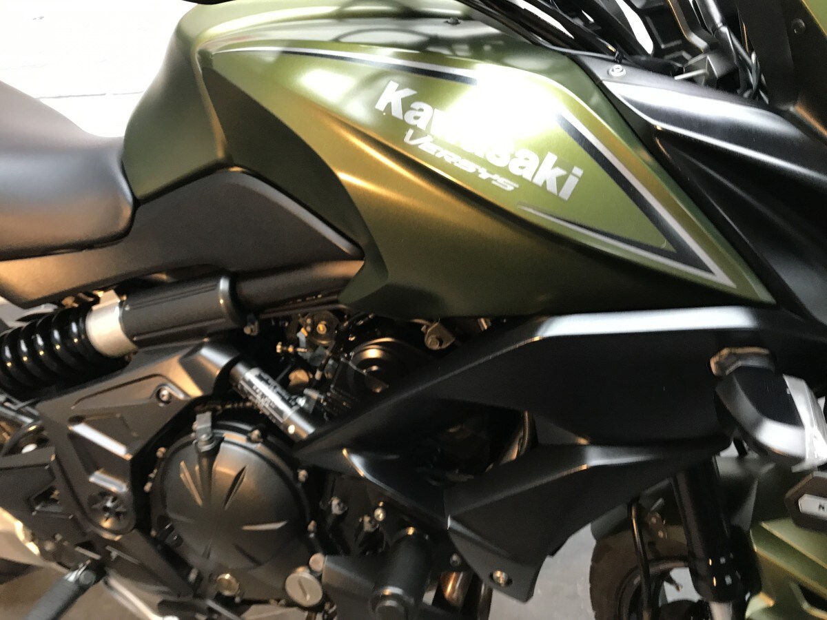 Kawasaki VERSYS 650