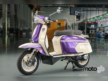 Used Royal Alloy GP 300 SE undefined for sale - bike-77870170: Photo