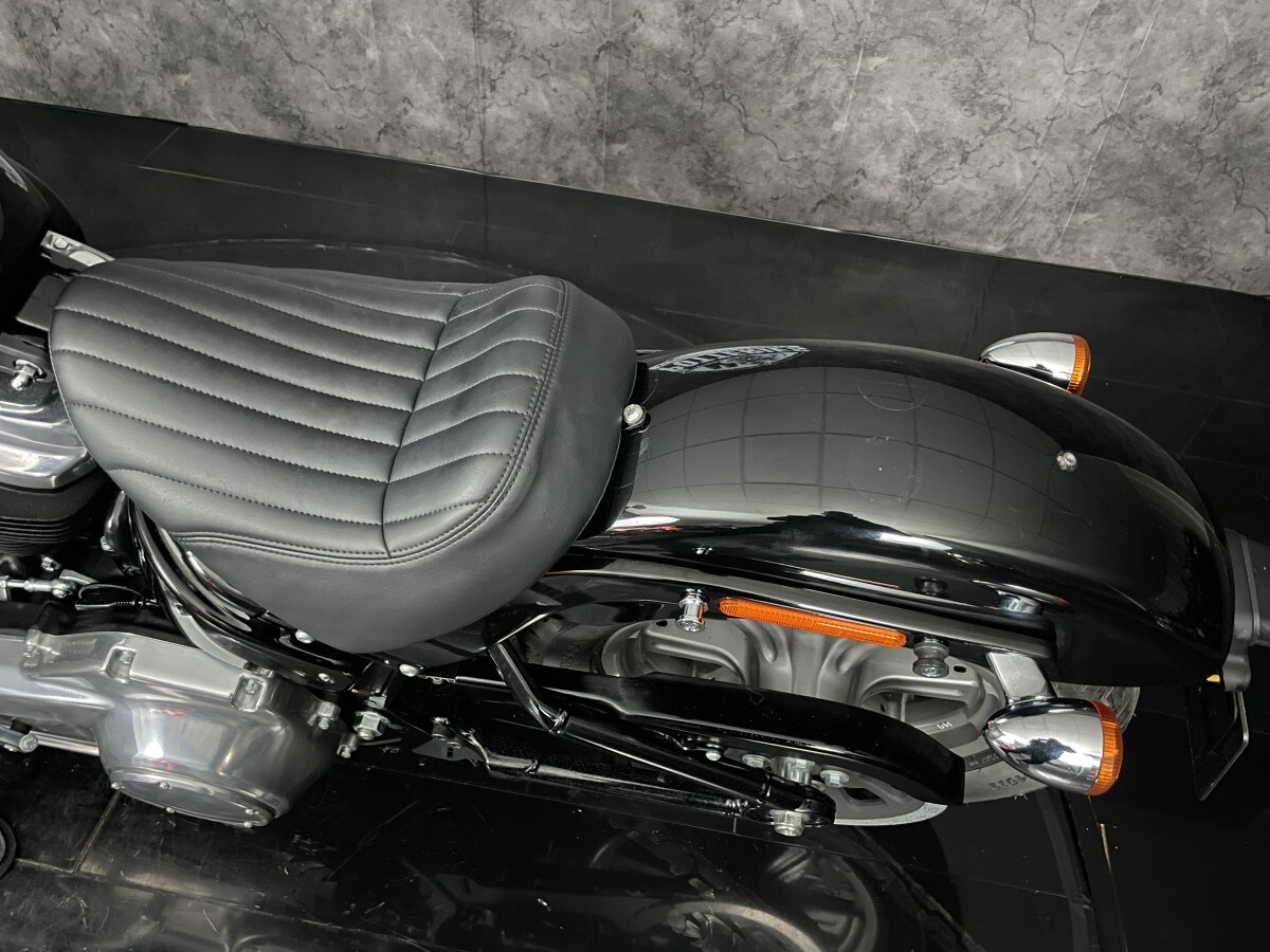 Harley-Davidson FXST SOFTAIL STANDARD 1745
