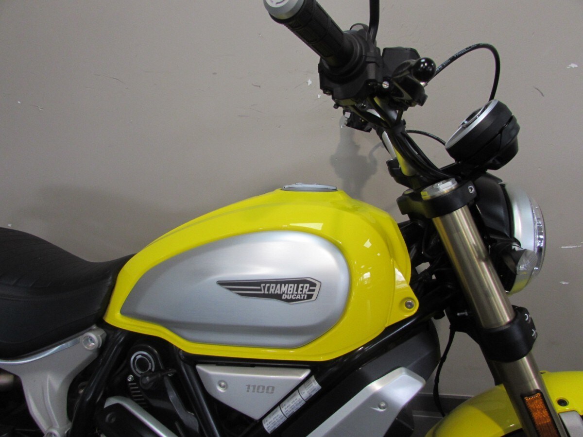 Ducati Scrambler 1100