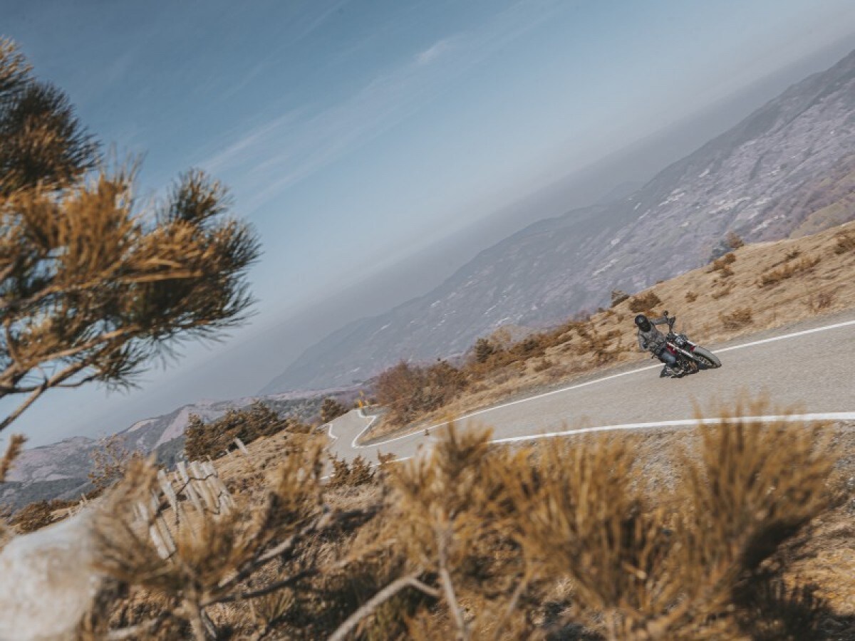 Benelli Leoncino 500