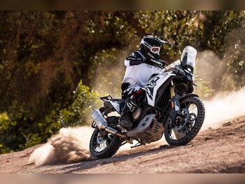 Used Voge DS800X Rally undefined for sale - bike-77867330: Photo