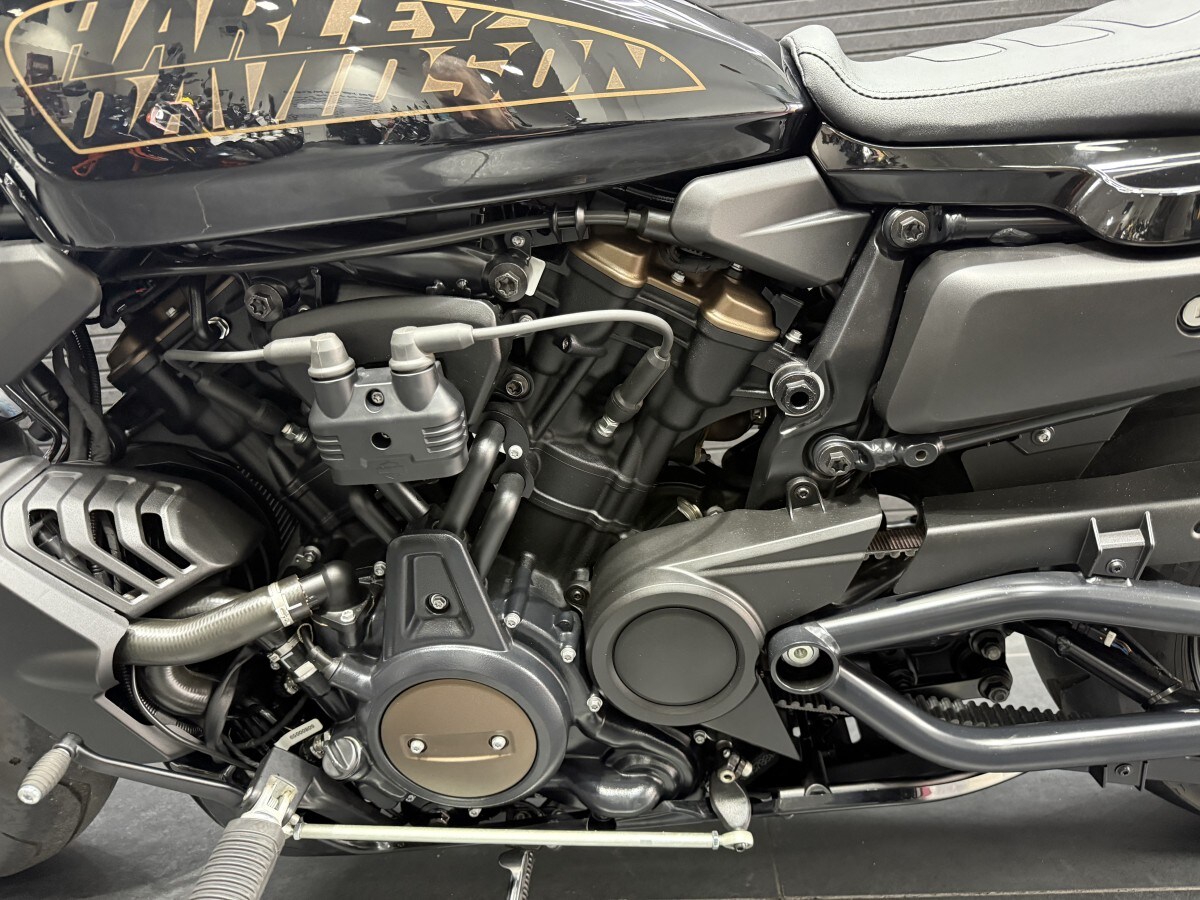 Harley-Davidson SPORTSTER S 22