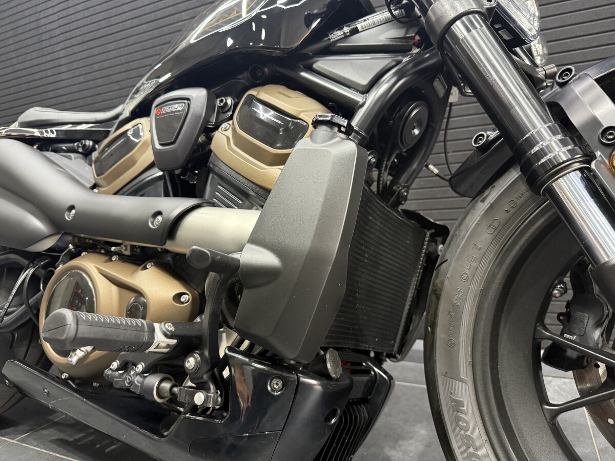 Harley-Davidson SPORTSTER S 22